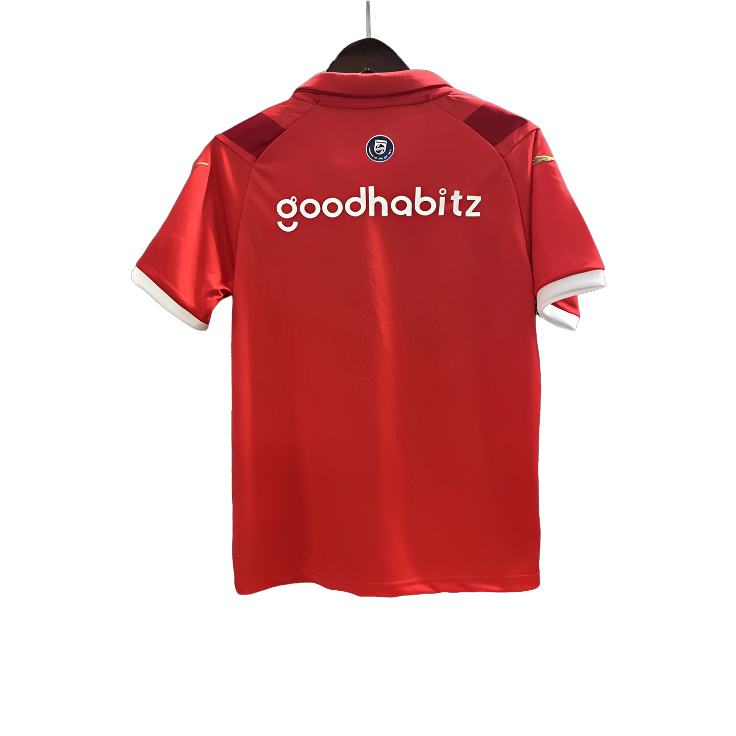 PSV Eindhoven Home Kit 23/24