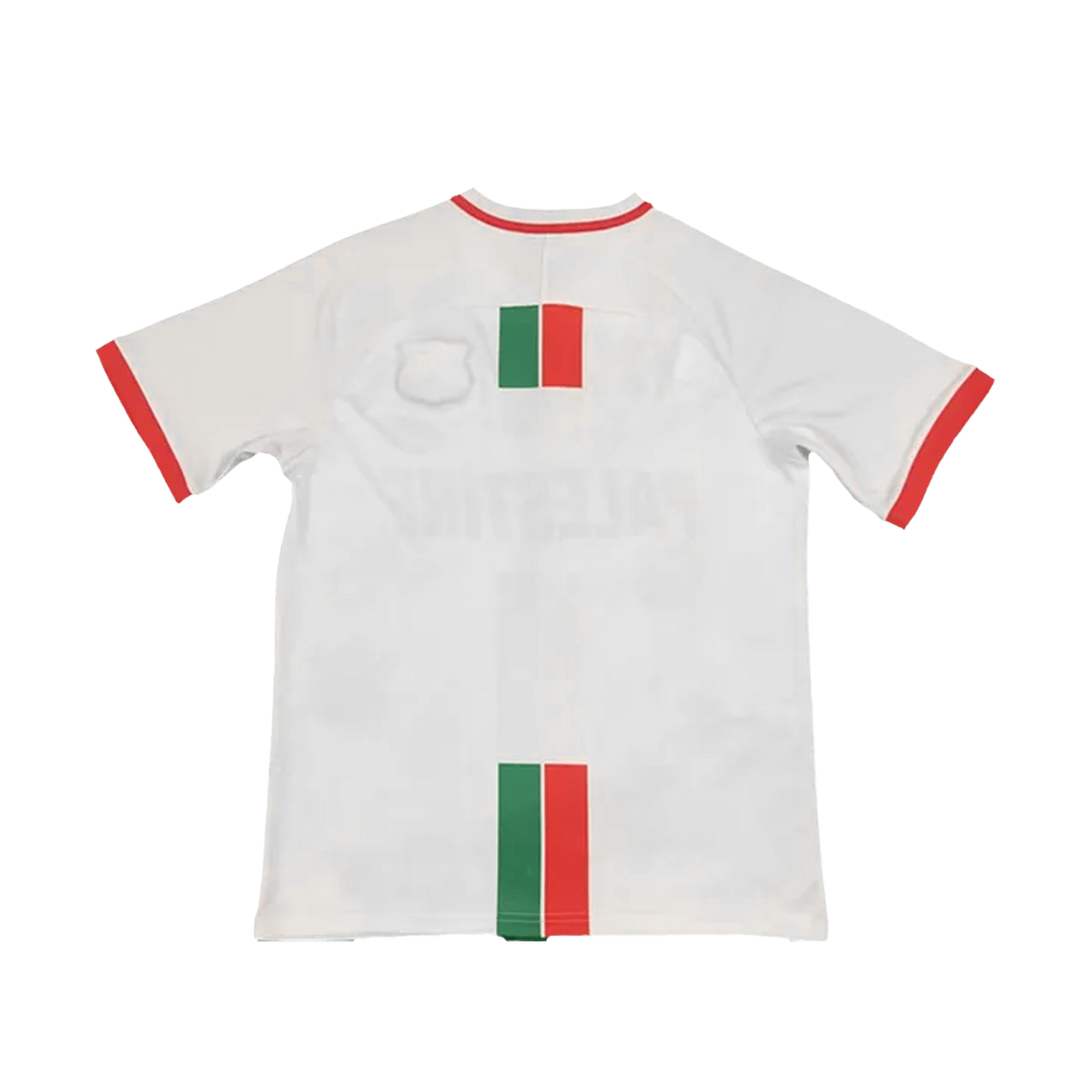 Palestine White Editon Kit 24/25