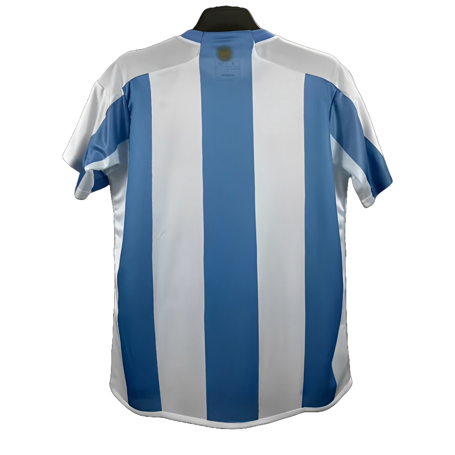 Argentina Home Kit 2024