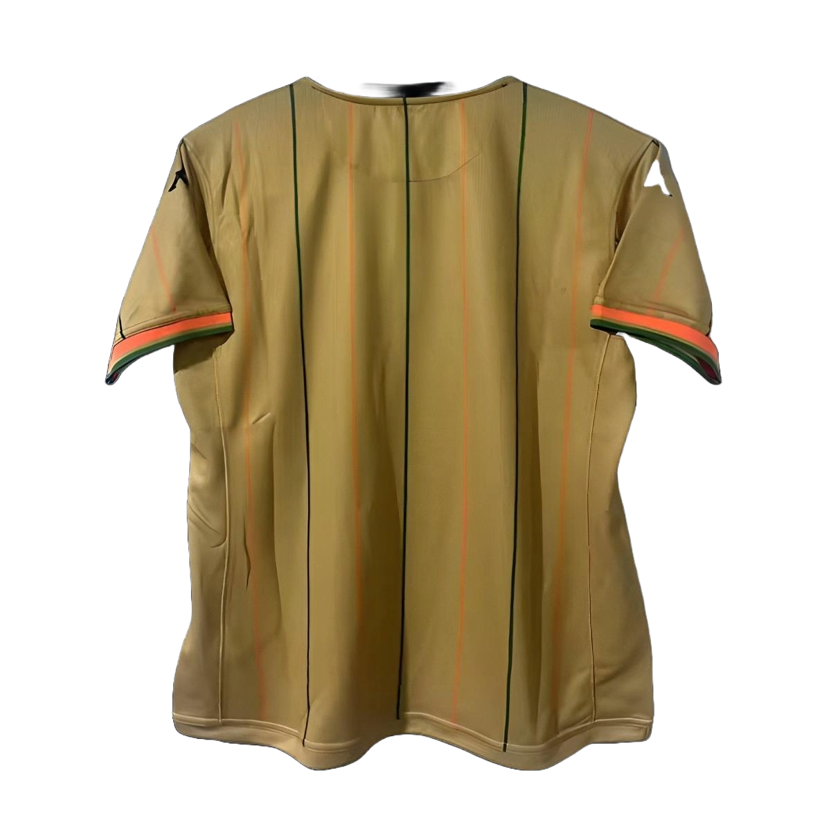 Venezia Goalkeeper Golden Kit 23/24