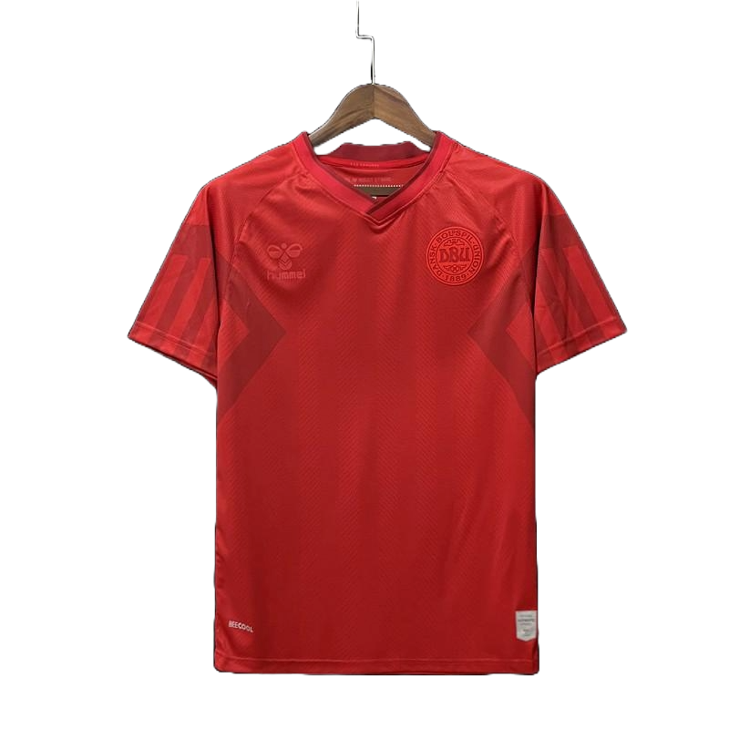 Denmark Home Kit 2022